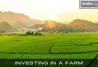 Investing in a Farm